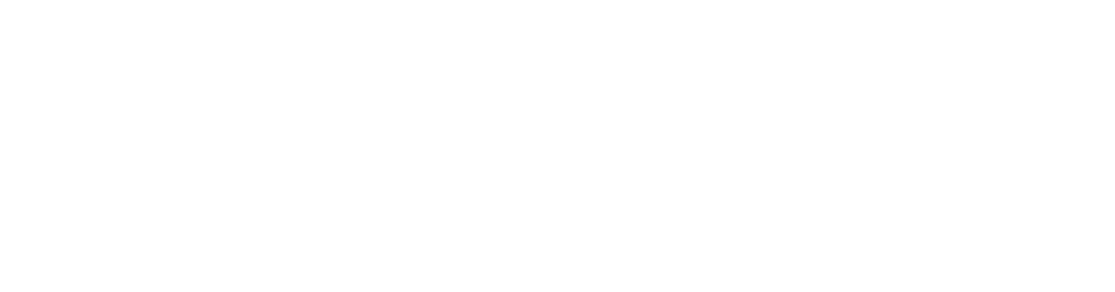 Logo fly-tech
